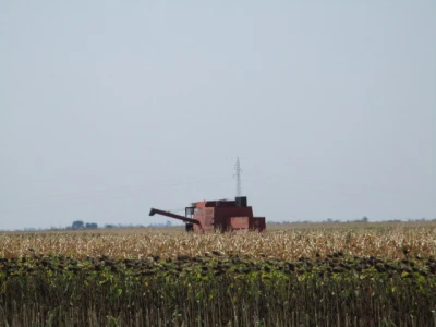 Zetva suncokreta