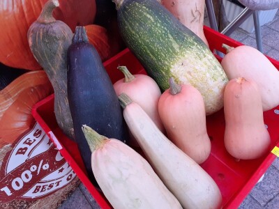 ZgGeVege festival održivog življenja ZgGeVege festival održivog življenja