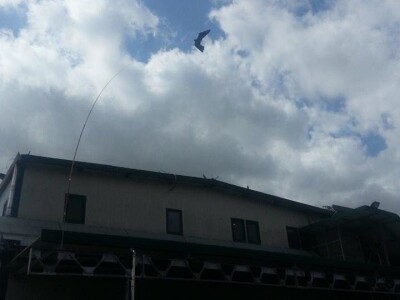 Sa terena - SCARYBIRD razno