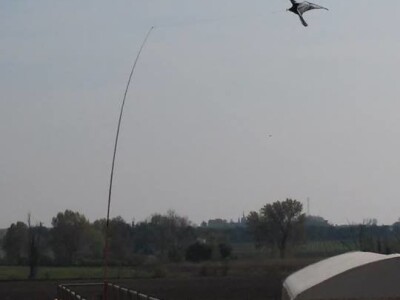 Sa terena - SCARYBIRD razno