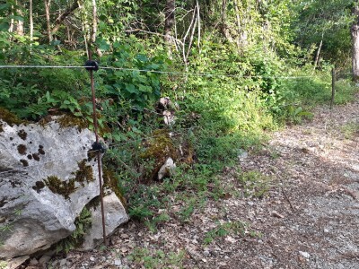 Solarni električni pastir za zaštitu stada