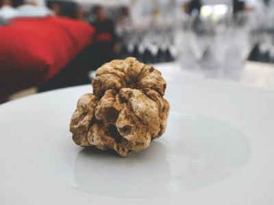 Zigante tartufi