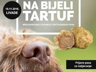 Zigante tartufi