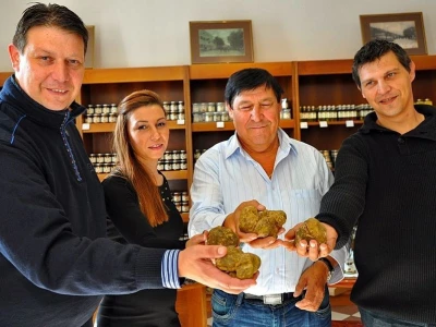Zigante tartufi