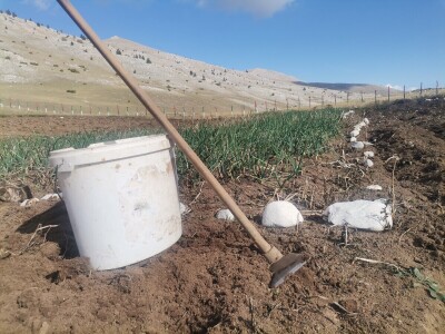 Zijad Ismić samo želi svoju djedovinu