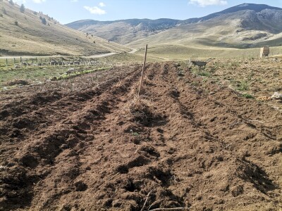 Zijad Ismić samo želi svoju djedovinu