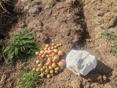 Zijad Ismić samo želi svoju djedovinu