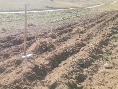 Zijad Ismić samo želi svoju djedovinu