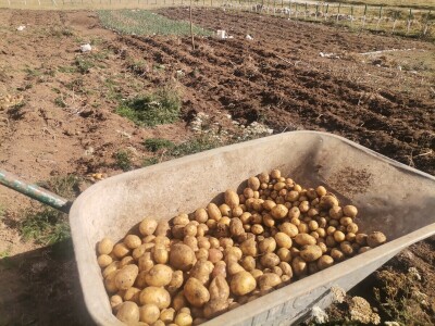 Zijad Ismić samo želi svoju djedovinu
