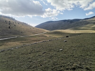 Zijad Ismić samo želi svoju djedovinu