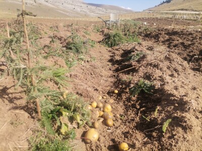 Zijad Ismić samo želi svoju djedovinu
