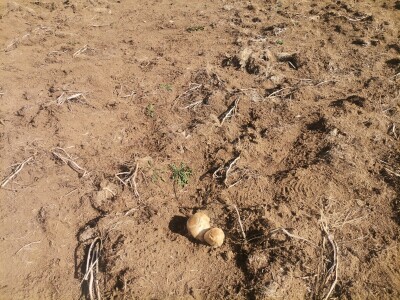 Zijad Ismić samo želi svoju djedovinu