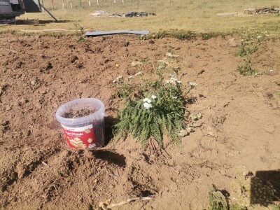 Zijad Ismić samo želi svoju djedovinu