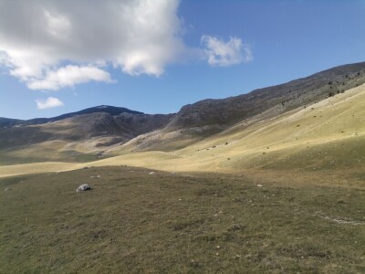 Zijad Ismić samo želi svoju djedovinu