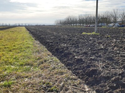 Zima ili proljeće na slavonskim poljima?