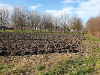 Zima ili proljeće na slavonskim poljima?