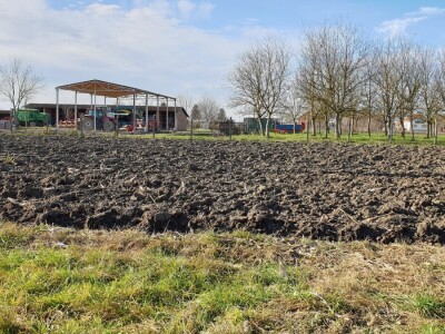 Zima ili proljeće na slavonskim poljima?