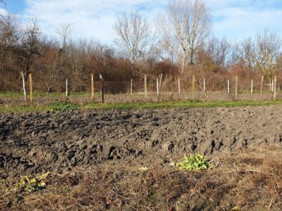 Zima ili proljeće na slavonskim poljima?
