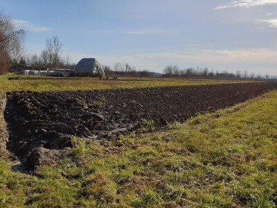 Zima ili proljeće na slavonskim poljima?