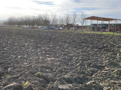 Zima ili proljeće na slavonskim poljima?