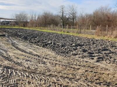 Zima ili proljeće na slavonskim poljima?