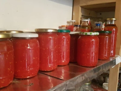 ZIMNICA MOŽE DA SE SPREMA I ZIMI