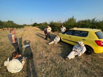 Zimska priprema košnica