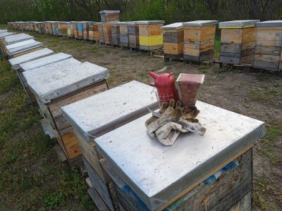 Zimska priprema košnica