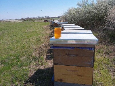 Zimska priprema košnica