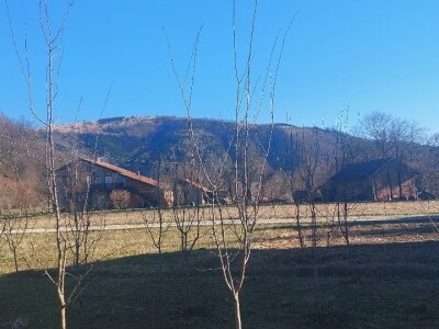 Zimska rezidba voća Zimska rezidba voća