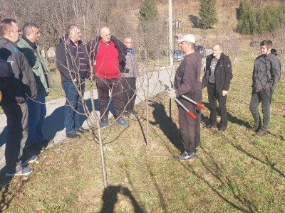 Zimska rezidba voća Zimska rezidba voća
