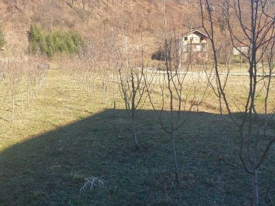 Zimska rezidba voća
