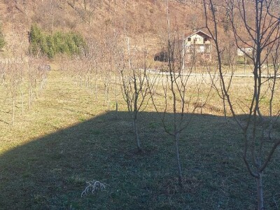 Zimska rezidba voća Zimska rezidba voća