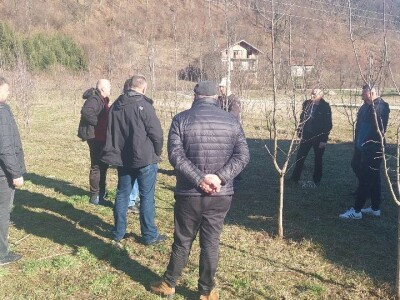 Zimska rezidba voća Zimska rezidba voća