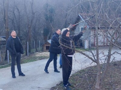 Zimska rezidba voća Zimska rezidba voća