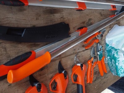 Zimska rezidba voća Zimska rezidba voća