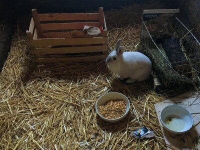 Zimski dan na selu Zimski dan na selu