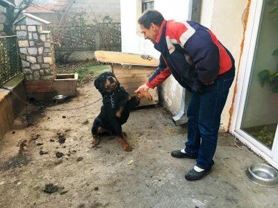 Zimski dan na selu