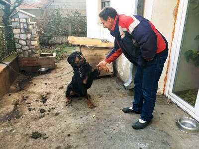 Zimski dan na selu Zimski dan na selu