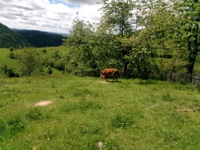 Zimski smetovi su samo jedan od problema sela u novovaroškom kraju
