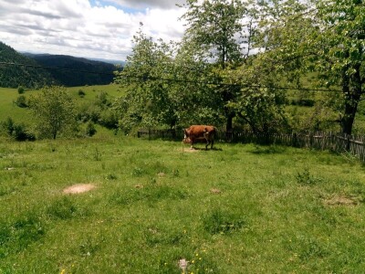 Zimski smetovi su samo jedan od problema sela u novovaroškom kraju