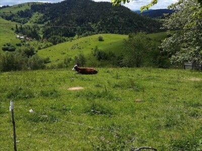 Zimski smetovi su samo jedan od problema sela u novovaroškom kraju