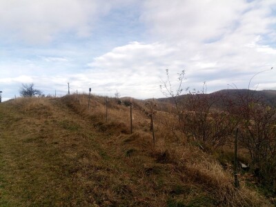 Zimski smetovi su samo jedan od problema sela u novovaroškom kraju