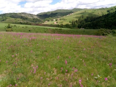 Zimski smetovi su samo jedan od problema sela u novovaroškom kraju