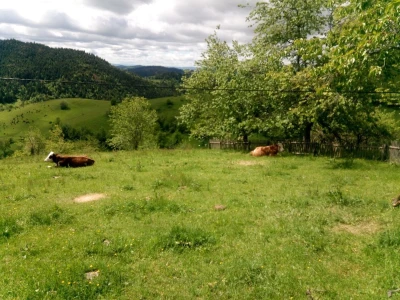 Zimski smetovi su samo jedan od problema sela u novovaroškom kraju