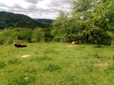 Zimski smetovi su samo jedan od problema sela u novovaroškom kraju