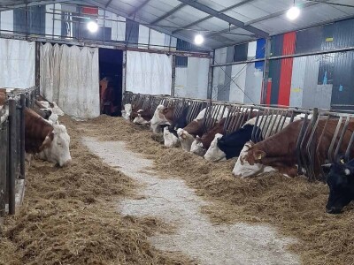 Zineta je vlasnica farme krava: "Grad? Ne hvala! Moja sloboda na selu nema cijenu!"