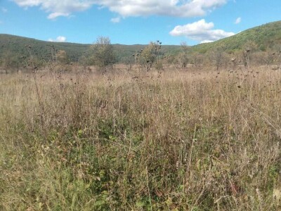 Žitelji Gacke Doline