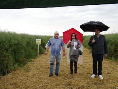 Žito grupa: Tvornica ulja Čepin, Dan polja uljane repice