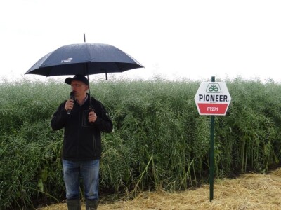 Žito grupa: Tvornica ulja Čepin, Dan polja uljane repice